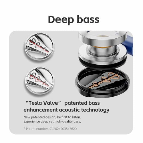 FiiO FD15 13.8mm Magnalium DLC HiFi Dynamic Driver in-Ear Earphone with Stainless Steel Shell, Detachable MMCX Cable