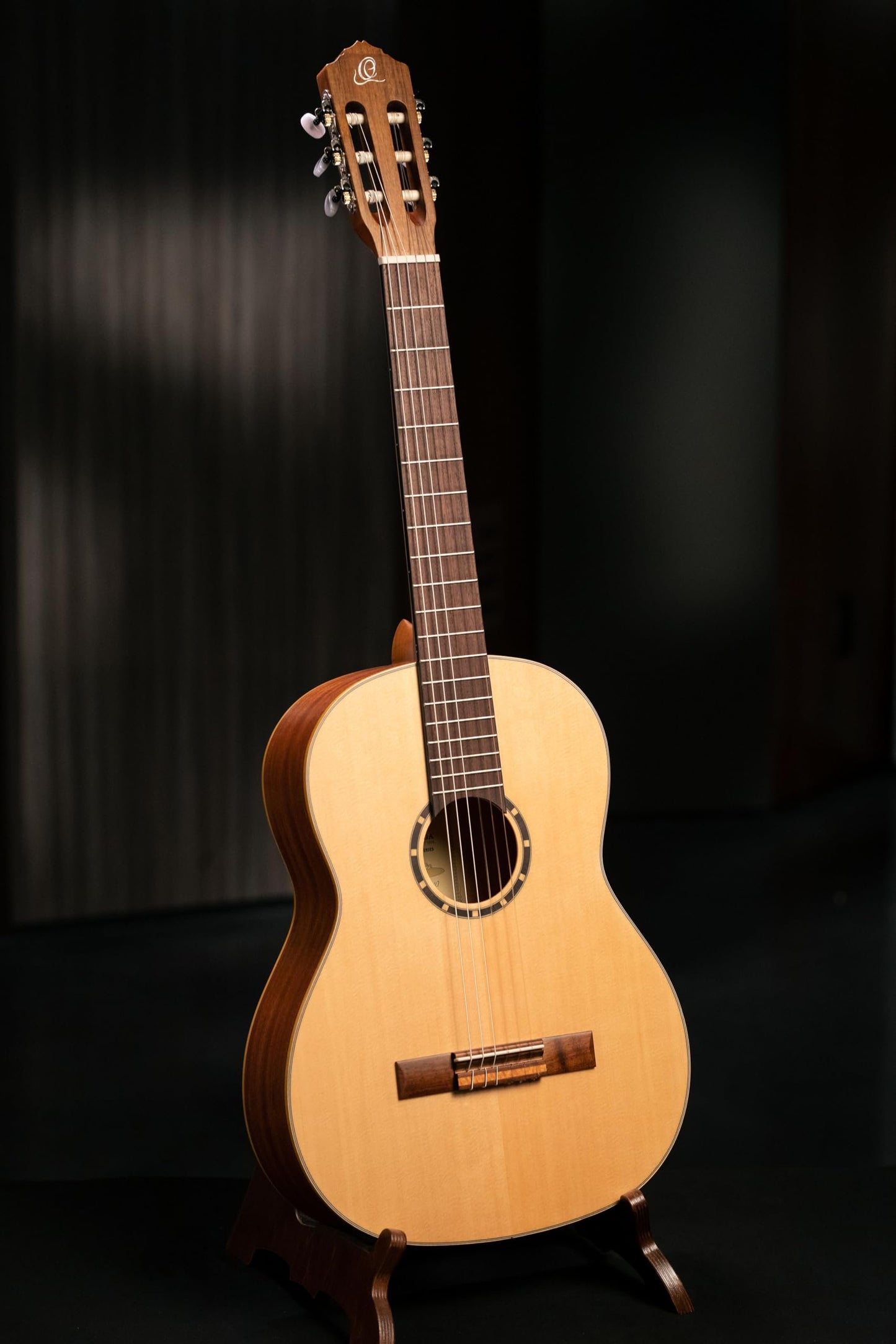 Family Series Full Size Nylon Classical Guitar w/Bag