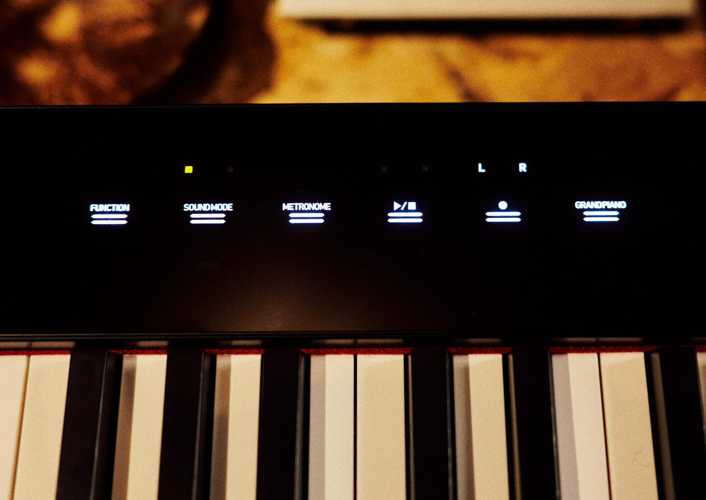 Casio Privia PX-S5000 Portable Digital Piano with 88 Hybrid Weighted Keys, 23 Tones, Touch Sensor Controls, Sustain Pedal, Bluetooth, USB, AC Adapter, 16W Speakers, Gloss Black Finish (PX-S5000BK)