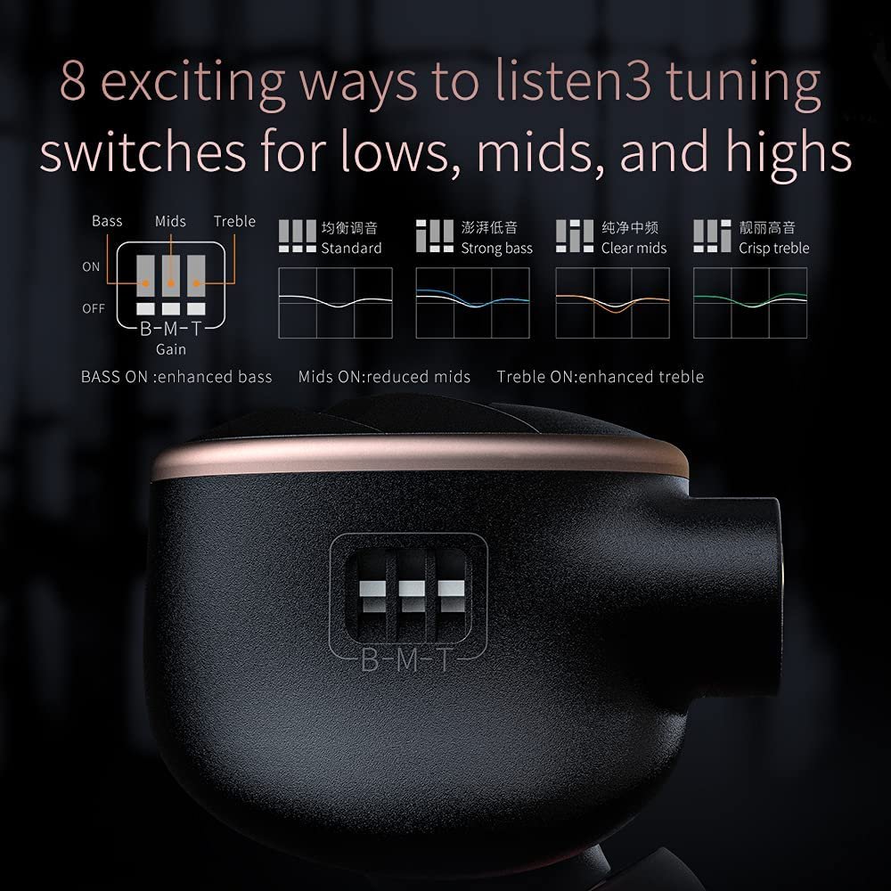 FiiO FH5s 2BA+2DD Quad Driver Hybrid in-Ear HiFi Stereo Earphones with MMCX High-Purity Cable, Swappable Plug 2.5mm/3.5mm/4.4mm