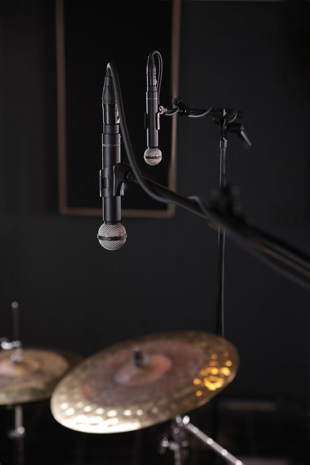 Beyerdynamic M 160 Double Ribbon Microphone *New*
