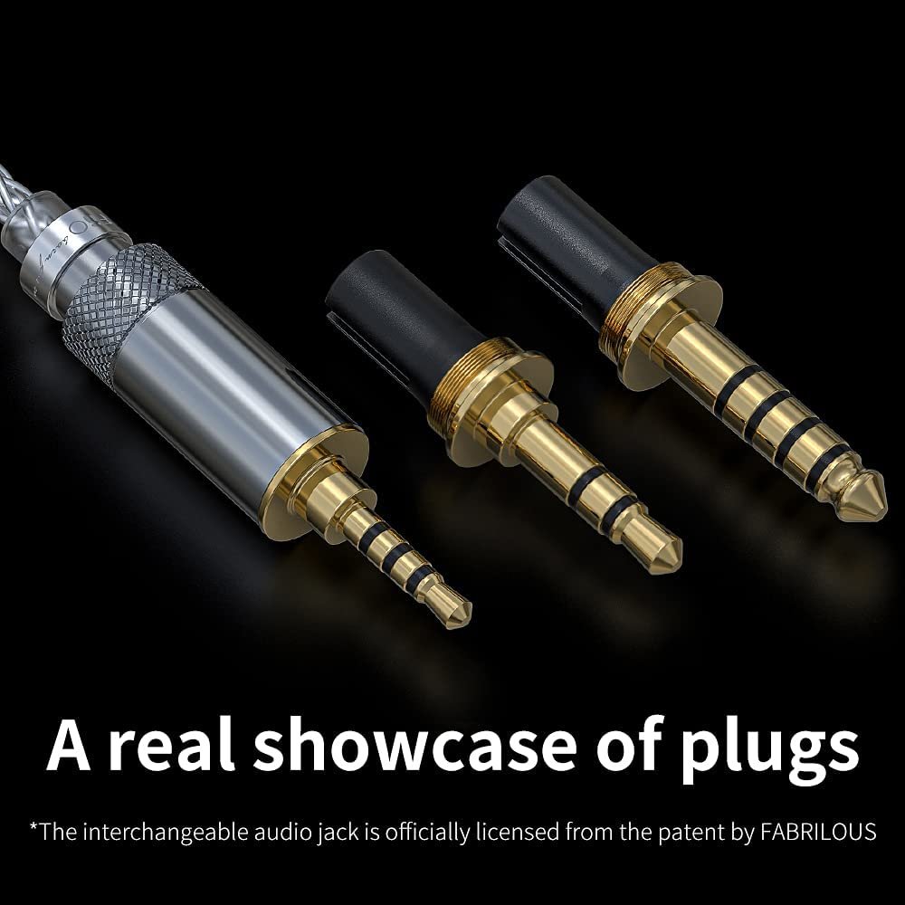 FiiO FH5s 2BA+2DD Quad Driver Hybrid in-Ear HiFi Stereo Earphones with MMCX High-Purity Cable, Swappable Plug 2.5mm/3.5mm/4.4mm