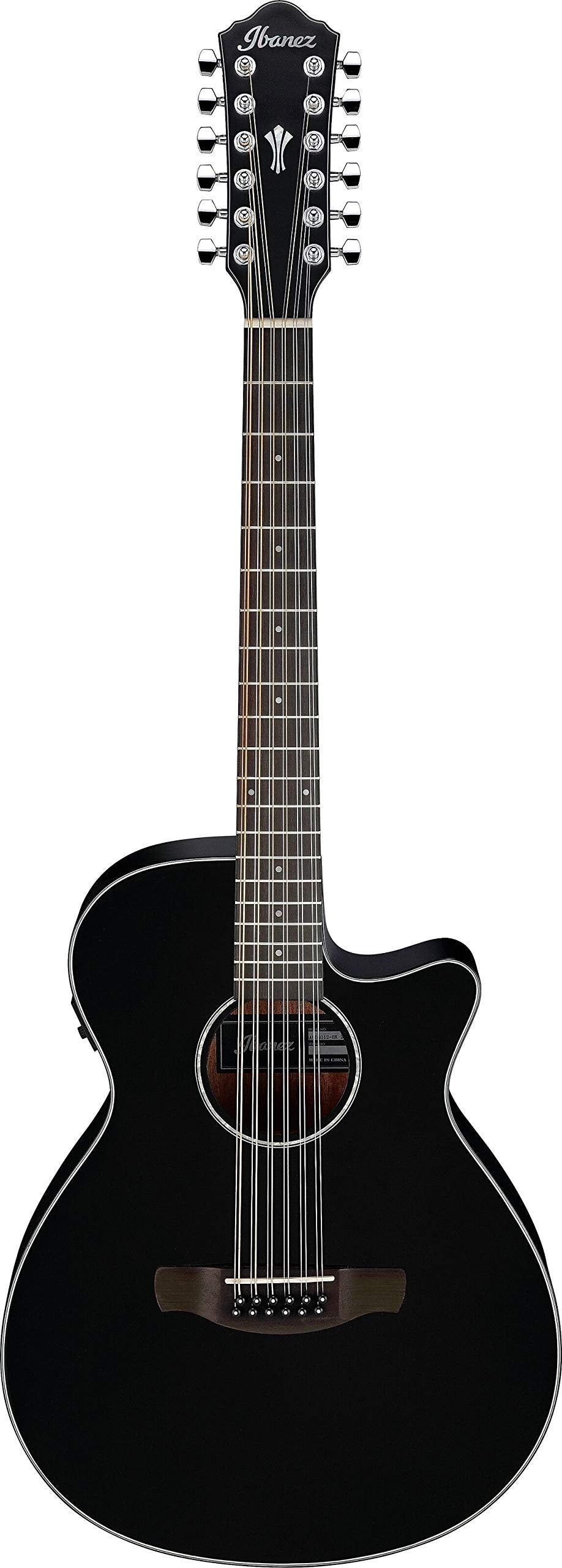 Ibanez AEG5012 Acoustic Electric Guitar