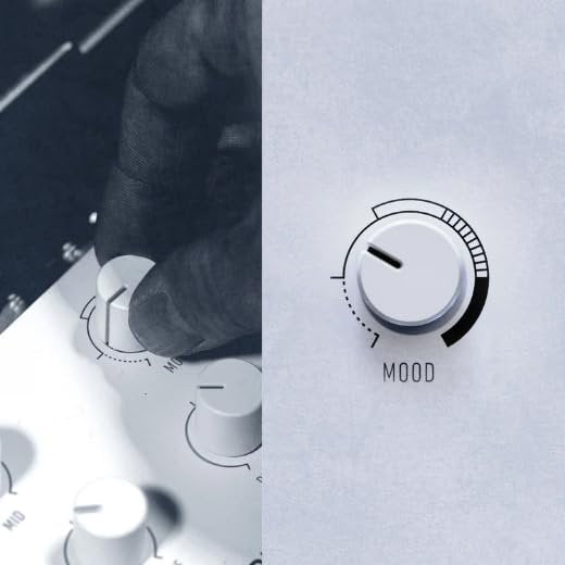 Kernom RIDGE Overdrive Pedal – Every Overdrive and more - Seamless Analog Morphing from Clean Boost to High Gain – MIDI, Expression, 128 Presets – Boutique Drive for Blues, Rock, and Beyond