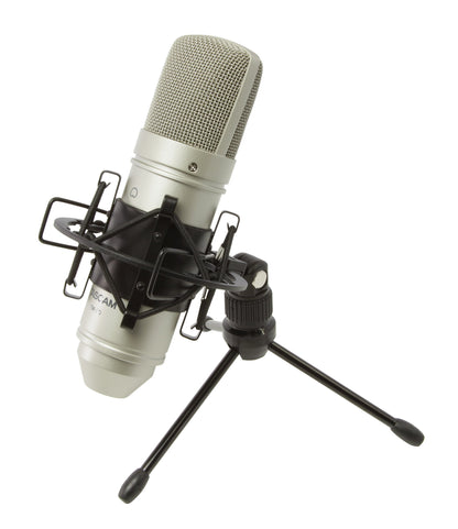 Tascam TM-80 Large Diaphagm Condenser Microphone,Silver