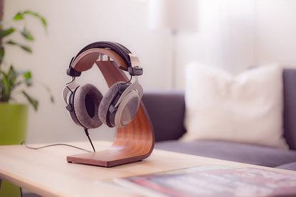 beyerdynamic DT 880 Premium Edition 250 Ohm Over-Ear-Stereo Headphones. Semi-Open Design, Wired, high-end, for The Stereo System