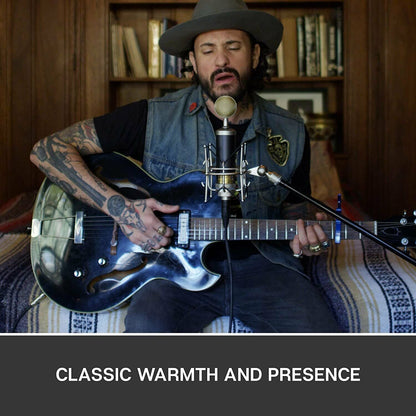 Blue Baby Bottle SL XLR Condenser Microphone for Recording and Streaming,...