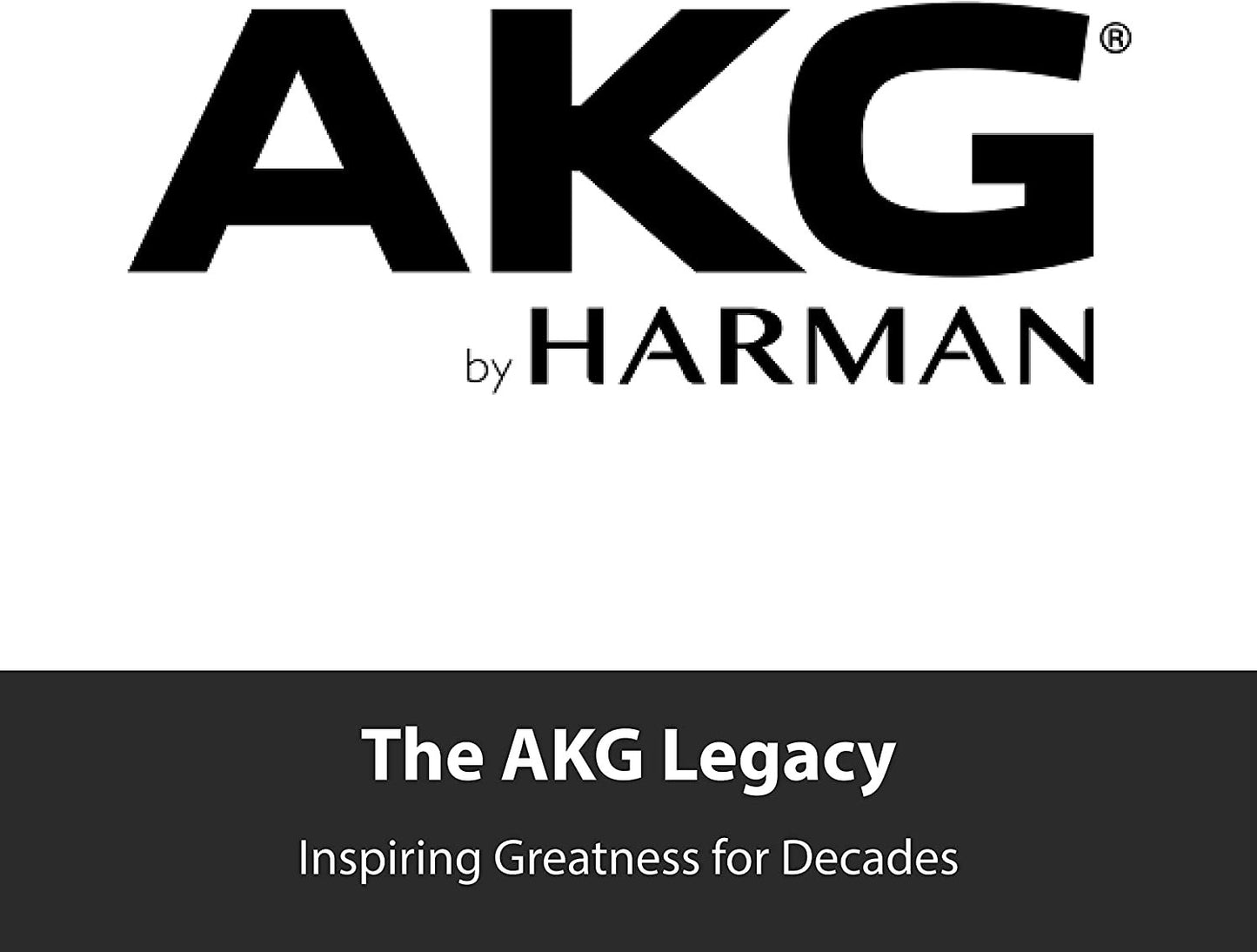 AKG P120 High-Performance General Purpose Recording Microphone