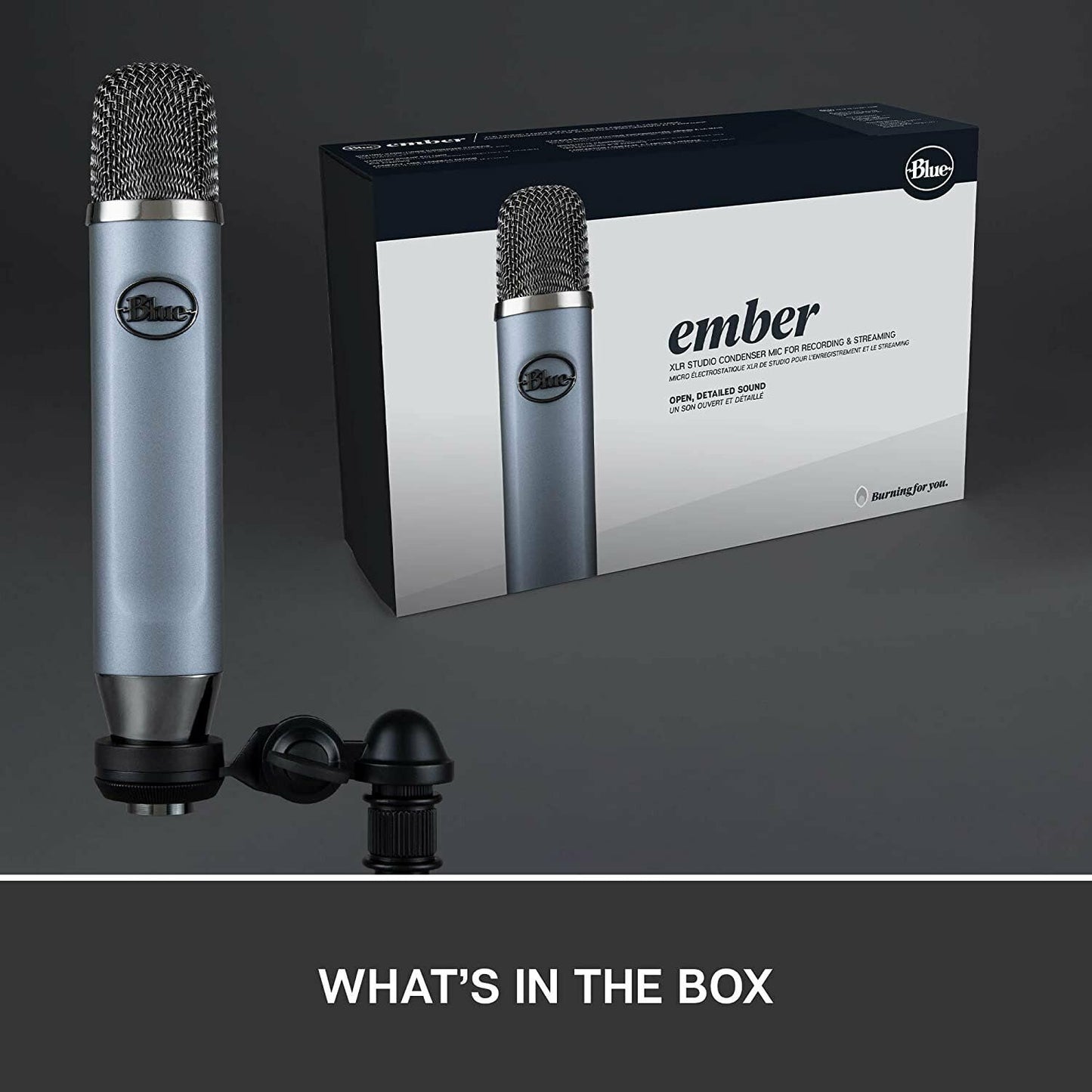 Blue Ember XLR Condenser Mic for Recording and Streaming, Custom Cardioid...