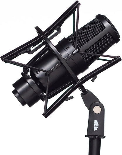 Heil Sound PR 30 Large Diaphragm Multipurpose Dynamic Microphone (Standard)