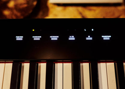 Casio Privia PX-S5000 Portable Digital Piano with 88 Hybrid Weighted Keys, 23 Tones, Touch Sensor Controls, Sustain Pedal, Bluetooth, USB, AC Adapter, 16W Speakers, Gloss Black Finish (PX-S5000BK)