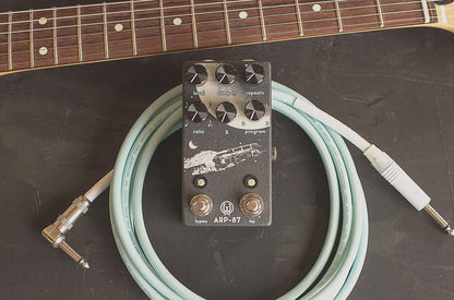 ARP-87 Multi-Function Delay