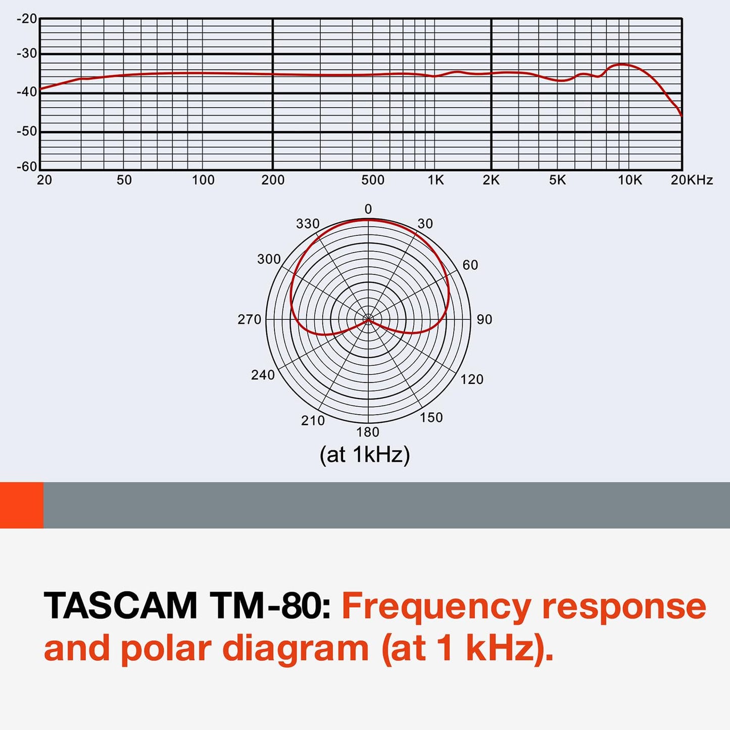 Tascam TM-80 Large Diaphagm Condenser Microphone,Silver