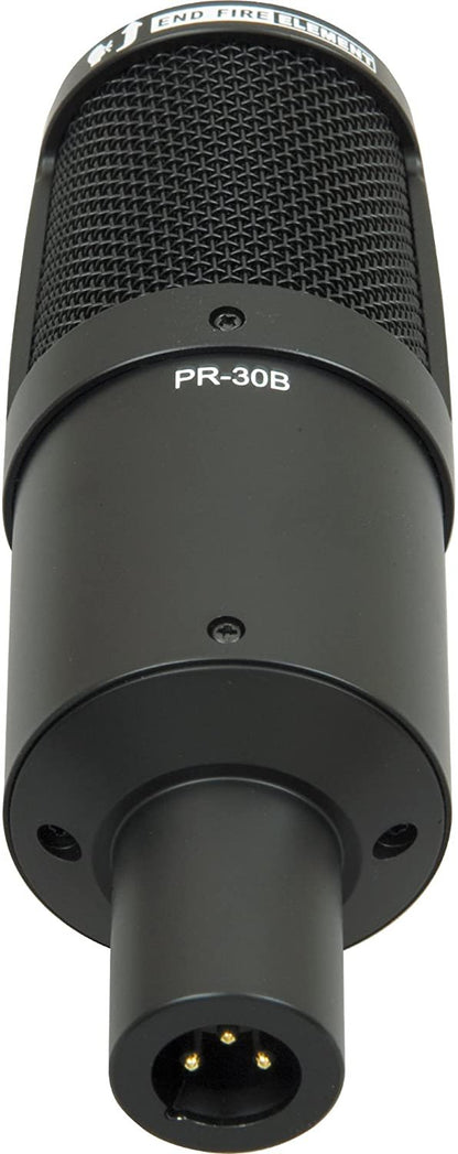 Heil Sound PR 30B Large-Diaphragm Dynamic Microphone