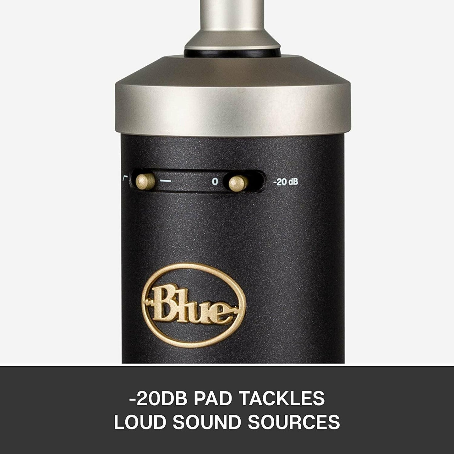 Blue Baby Bottle SL XLR Condenser Microphone for Recording and Streaming,...