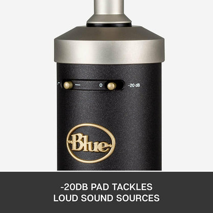 Blue Baby Bottle SL XLR Condenser Microphone for Recording and Streaming,...