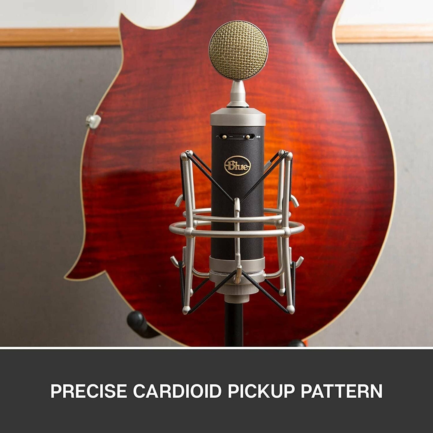 Blue Baby Bottle SL XLR Condenser Microphone for Recording and Streaming,...