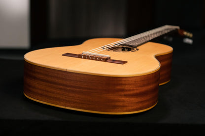 Family Series Full Size Nylon Classical Guitar w/Bag