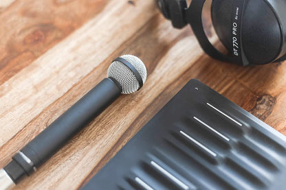 Beyerdynamic M160 Double Ribbon Microphone - Hypercardioid