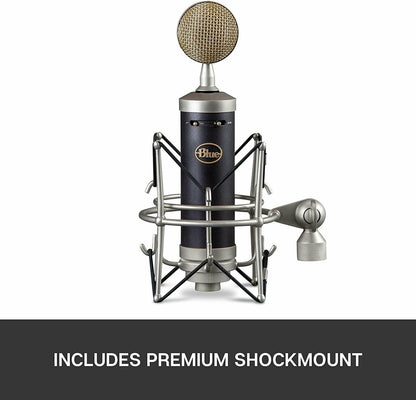 Blue Baby Bottle SL XLR Condenser Microphone for Recording and Streaming,...