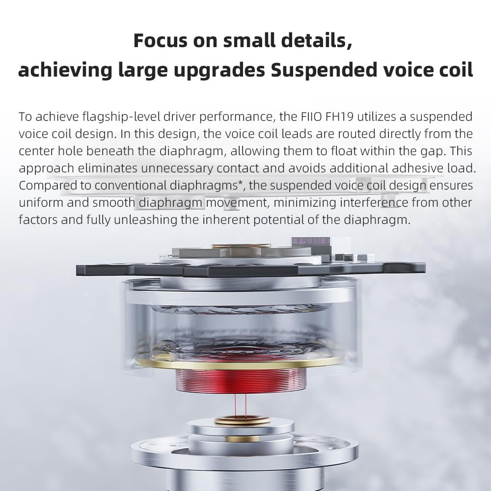 FiiO FH19 HiFi IEM Earphone| 2 Dynamic+ 6 BA Hybrid Driver IEM, Detachable MMCX Headphone Cable for Musician Audiophile