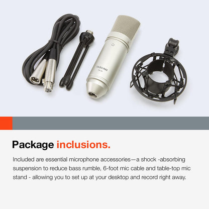 Tascam TM-80 Large Diaphagm Condenser Microphone,Silver