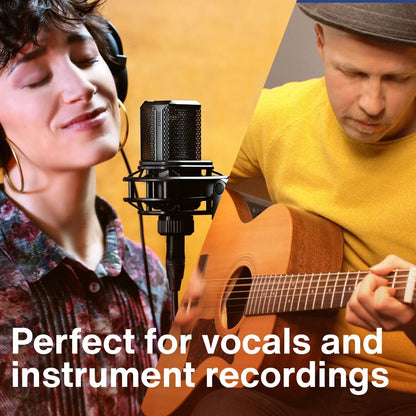 LEWITT LCT440PURE Large Diaphragm Condenser Mic